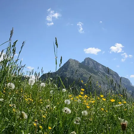 Der Alpenblick 蓬高圣约翰