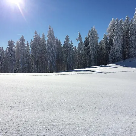 فندق Der Alpenblick سانكت يوهان ايم بونغ